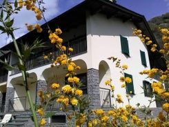 B&B Carunei