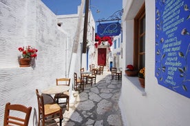 5 timers privat Tinos Cultural Van Tour