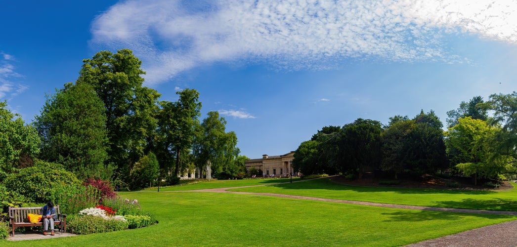 Photo of an old and large tree  in a public park a blue sky with cloud is above, York, UK.