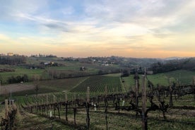 Tour gastronómico y vinícola en las colinas de Prosecco desde Venecia