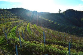 Visite de Durrës et dégustation de vins