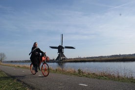 Kinderdijk svæðis hjólreiðaferð