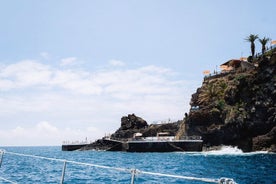 Excursion privée en voilier d'une demi-journée et d'une journée à Funchal