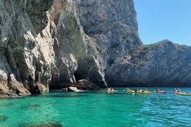 Paseo en barco privado a playas salvajes y bahías secretas