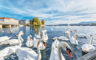 Lucerne - town in Switzerland