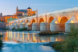 Photo of aerial view of beautiful landscape of Zaragoza, Spain.