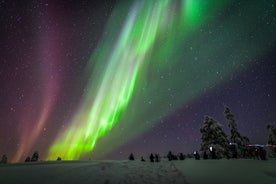 Privat Aurora Tour (5 eller fler) av Aurora Experts - Rovaniemi