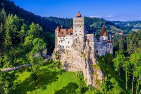 1-Day Minivan Tour 3 Castles: Peles, Wednesday & Dracula’s