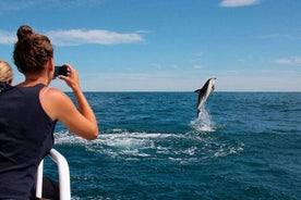 Visite de l'île du parc national de Brijuni et croisière avec les dauphins