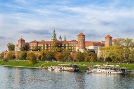 Best of Krakow 1-Day Private Guided Tour with Transport