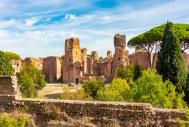 Aerial panoramic cityscape of Rome, Italy, Europe. Roma is the capital of Italy. Cityscape of Rome in summer. Rome roofs view with ancient architecture in Italy. 