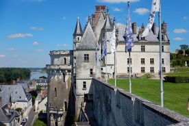 Private 3 Loire Valley Castles from Paris Mercedes Wine tasting