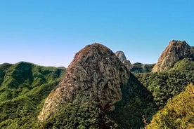 Volledige dag rondleiding naar La Gomera vanuit Tenerife