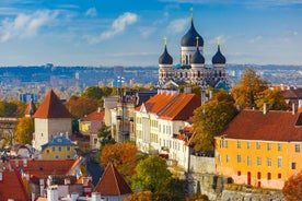 Excursão terrestre privada de dia inteiro saindo do porto de cruzeiros de Tallinn