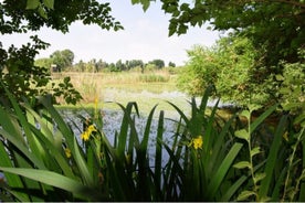 Visite privée mystère de la Riviera del Brenta, du lagon et des espaces naturels