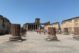 Skip The Line Pompeii Guided Tour & Mt. Vesuvius from Sorrento