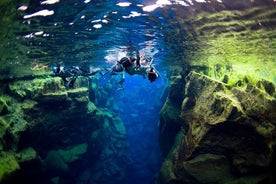 Snorkelavontuur met een kleine groep in het kristalheldere water van Silfra vanuit Reykjavik