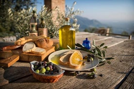 Da Padova: tour olio e vino dei Colli Euganei