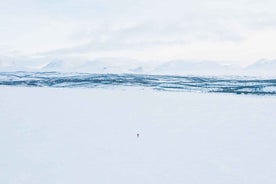 Abisko: Lake Torneträsk ísilagður veiðiferð