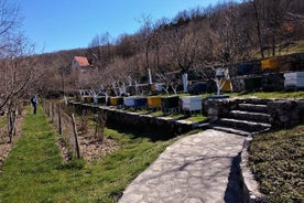 Gastronomía y turismo en Montenegro: recorrido privado por el lago Skadar y Cetinje