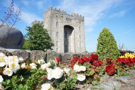 Photo of beautiful landscape of Killarney, a city of Ireland.