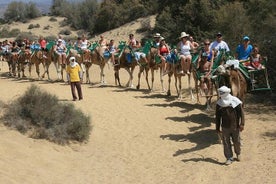 Giro in cammello tra le dune di Maspalomas