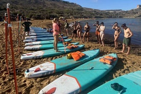 Stand-Up Paddleboarding í Mgarr: Kennsla á Malta Surf School