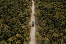 Safari privé dans le Chianti : excursion œnologique hors route en Toscane avec déjeuner au départ de Florence