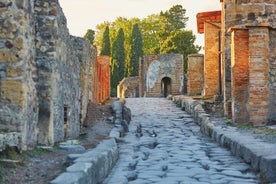 Pompeii privat guidet tur med billetter fra Capri