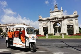 Descubre Valencia en Tuk Tuk 