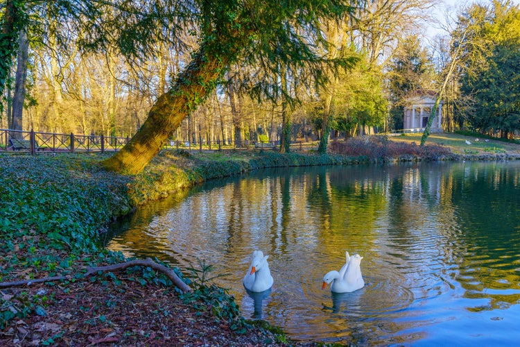 Photo of pond, temple, and geese in the Monza Park, on a clear winter day, Monza, Lombardy, Northern Italy.