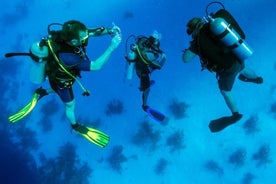 Scuba Diving in Kusadasi with Lunch