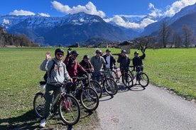 Interlaken Valley E-Bike Tour: Rivers, Lakes, Forests & Castles