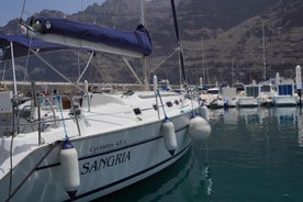 3 uur durende excursie naar walvisachtigen en snorkelen op Tenerife