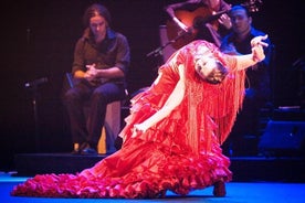 Sevilla Puro Flamenco Tour