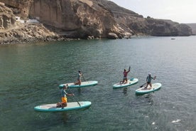 Stand-up paddle-les van 2 uur op Gran Canaria