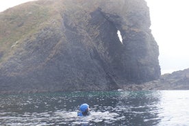 Actividad de kayak guiada de medio día en el puerto de Dunseverick