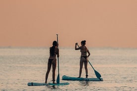 Udlejning af Paddle Board i Torrevieja