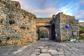 Ohrid city and lake tour - from Skopje