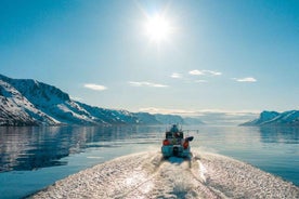 From Alta: Adventure Cruise in Alta Fjord