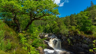 Rogie Falls