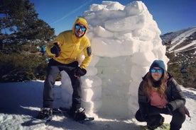 Divertimento in famiglia: racchette da neve + costruzione di igloo + slittino