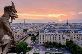 Paris Top Sights Half Day Walking Tour + Wine Tasting Experience