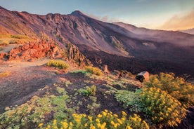 Malta: Mount Etna og Taormina Leiðsöguferð með Katamarani