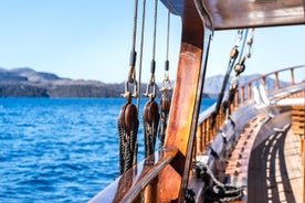 Tour en crucero por la Caldera de Santorini (volcán, aguas termales, Thirassia)