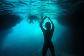 Bootstour in kleiner Gruppe ab Dubrovnik mit Getränken