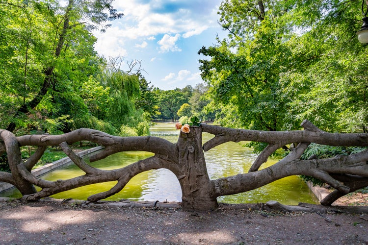 Park in Romania.jpeg