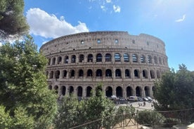  Tour guidato per piccoli gruppi con golf cart: punti salienti della città di Roma