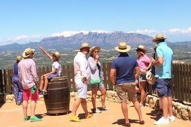 Montserrat privato e pranzo in agriturismo con prelievo dall'hotel