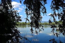 Ciclismo en el verde: tour privado de los parques Cascine y Renai